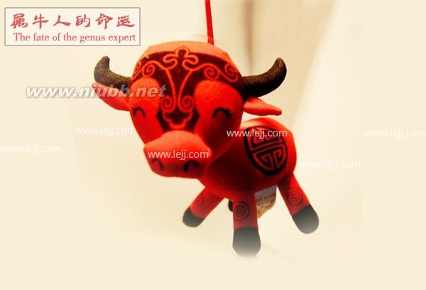 屬牛的今年多大，屬牛人的命運(yùn)怎么樣_屬牛人的命運(yùn)