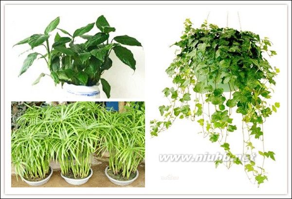 家庭裝修風(fēng)水禁忌20例_室內(nèi)裝修風(fēng)水禁忌