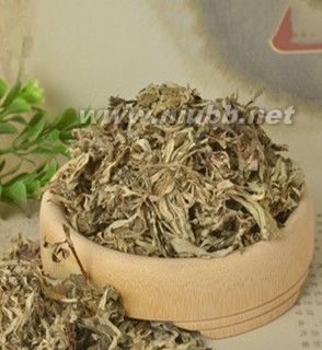 艾草的功效與作用 艾蒿拔火罐更有價值_艾草的功效與作用