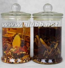 肉蓯蓉怎么吃 肉蓯蓉泡酒配方_肉蓯蓉怎么吃