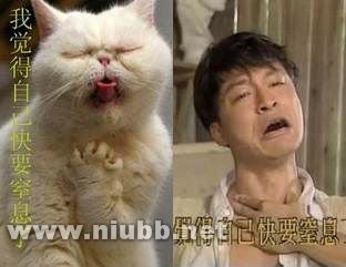 經(jīng)典一句話搞笑語錄：問世間情為何物，只叫人拖去衣褲。