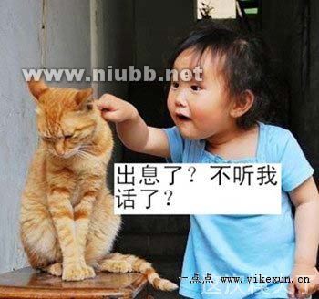 一句話搞笑語錄：人如果靠吃飯活著，那飯不叫飯，叫飼料。