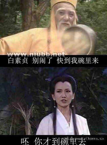 一句話搞笑語(yǔ)錄：用扯淡的態(tài)度，面對(duì)操蛋的人生。