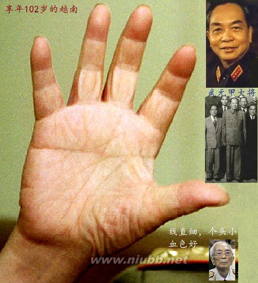 長壽人的手相面相（實(shí)圖）