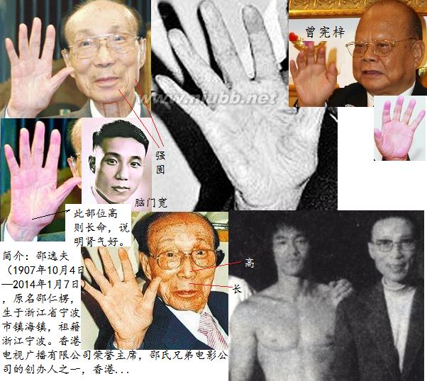 長壽人的手相面相（實(shí)圖）