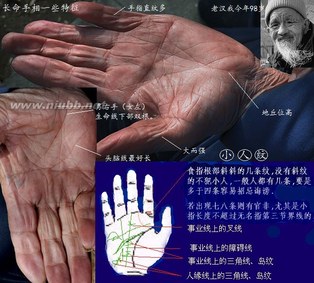 長壽人的手相面相（實(shí)圖）