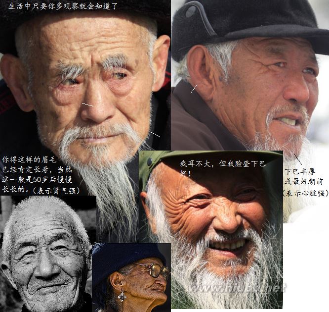 長壽人的手相面相（實(shí)圖）