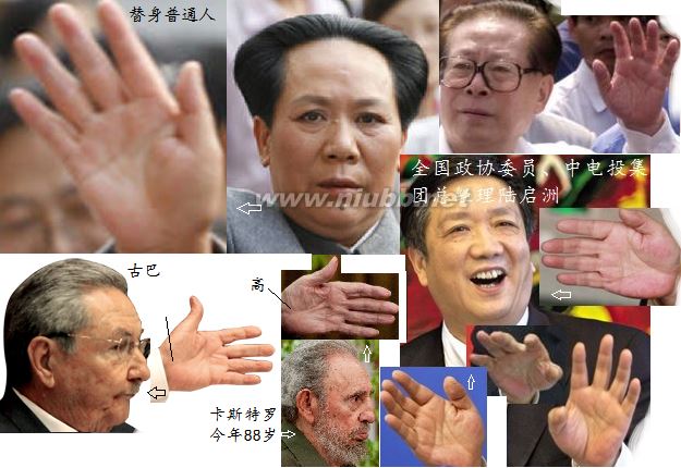 長壽人的手相面相（實(shí)圖）