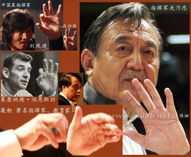 長壽人的手相面相（實(shí)圖）