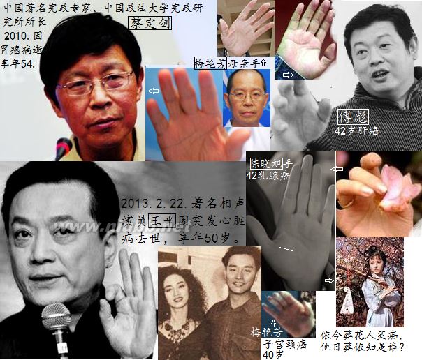 長壽人的手相面相（實(shí)圖）