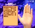 手相面相觀人專(zhuān)集——標(biāo)準(zhǔn)手診圖