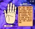 手相面相觀人專(zhuān)集——標(biāo)準(zhǔn)手診圖