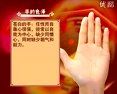手相面相觀人專(zhuān)集——標(biāo)準(zhǔn)手診圖