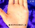 手相面相觀人專(zhuān)集——標(biāo)準(zhǔn)手診圖