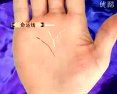 手相面相觀人專(zhuān)集——標(biāo)準(zhǔn)手診圖