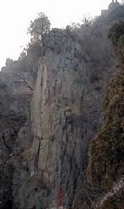 鷲峰森林公園：鷲峰森林公園-簡介，鷲峰森林公園-歷史概括_鷲峰