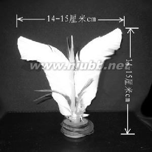 踢毽子：踢毽子-游戲簡(jiǎn)介，踢毽子-制作方法_踢毽子技巧