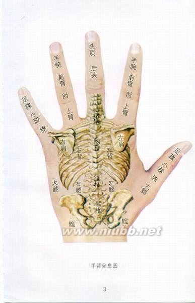 手相面相觀人專(zhuān)集——標(biāo)準(zhǔn)手診圖