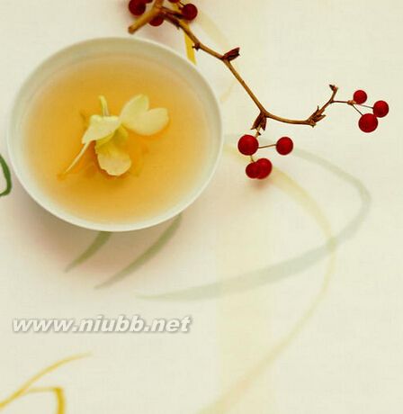 養(yǎng)生茶保健茶配方大全_養(yǎng)生茶大全及配方