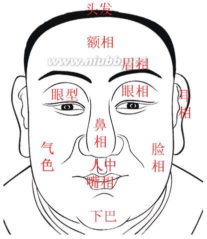 手面相簡述(圖)
